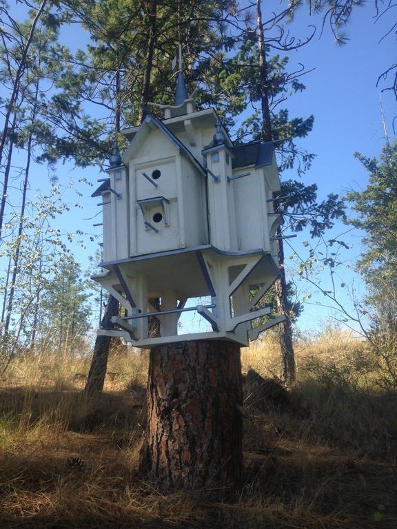 Eagle'S Nest B&B Lake Country Екстериор снимка