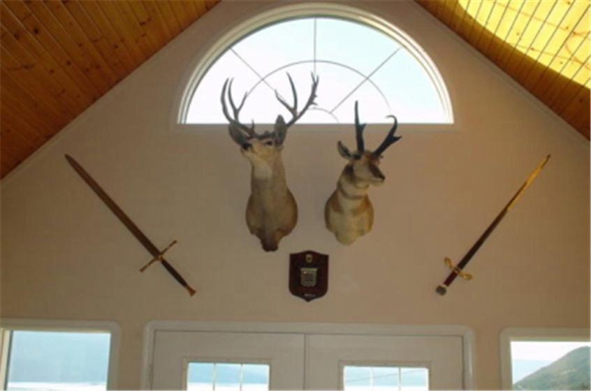 Eagle'S Nest B&B Lake Country Екстериор снимка
