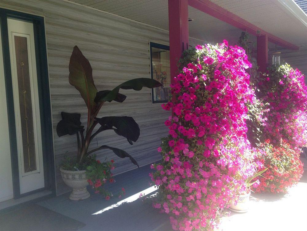 Eagle'S Nest B&B Lake Country Екстериор снимка